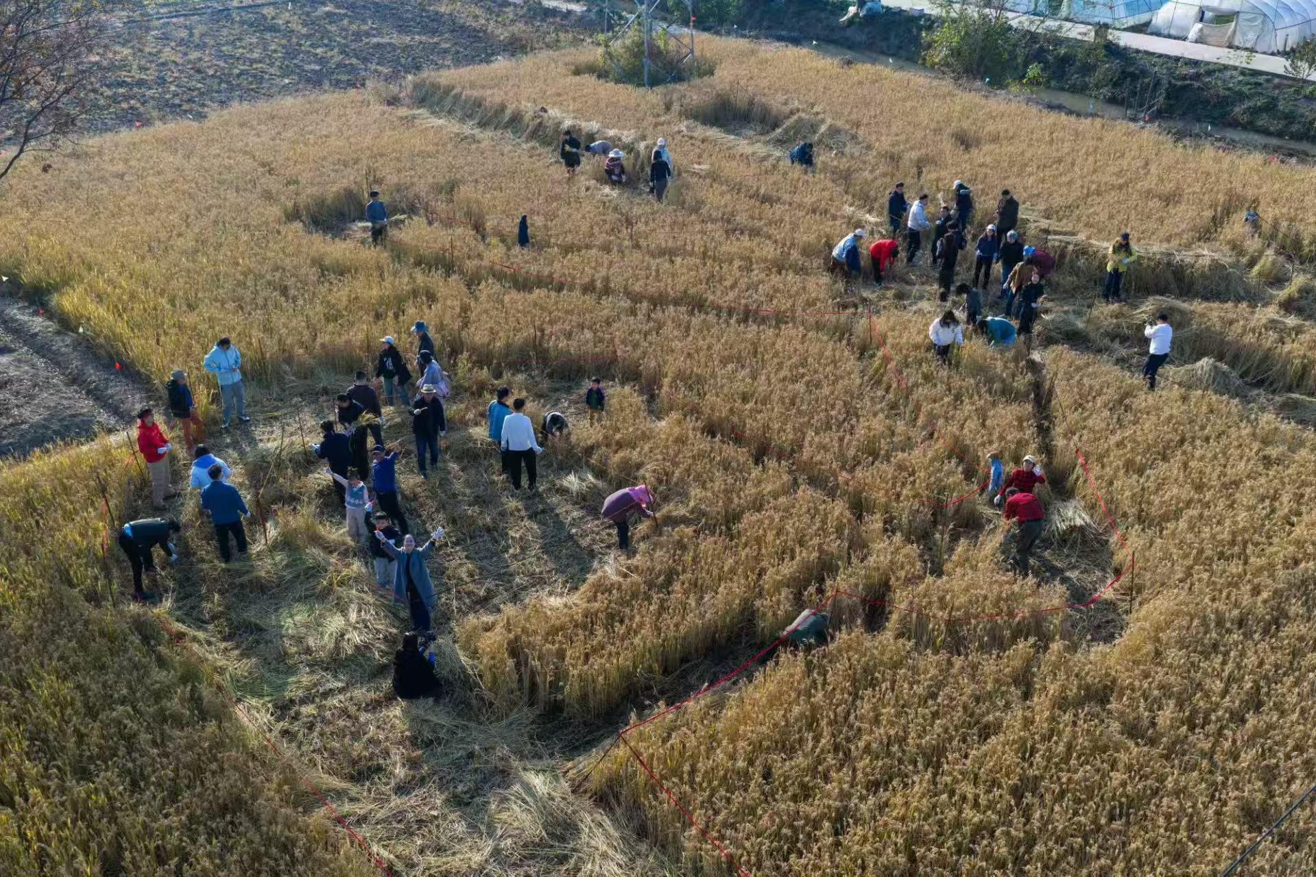 微信图片_20260115205540_1027_683